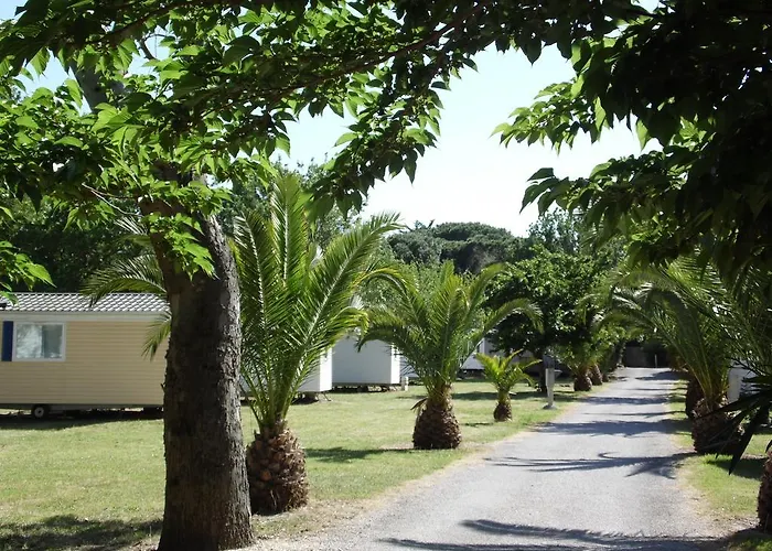 Village Les Abricotiers 2* פרפיניין