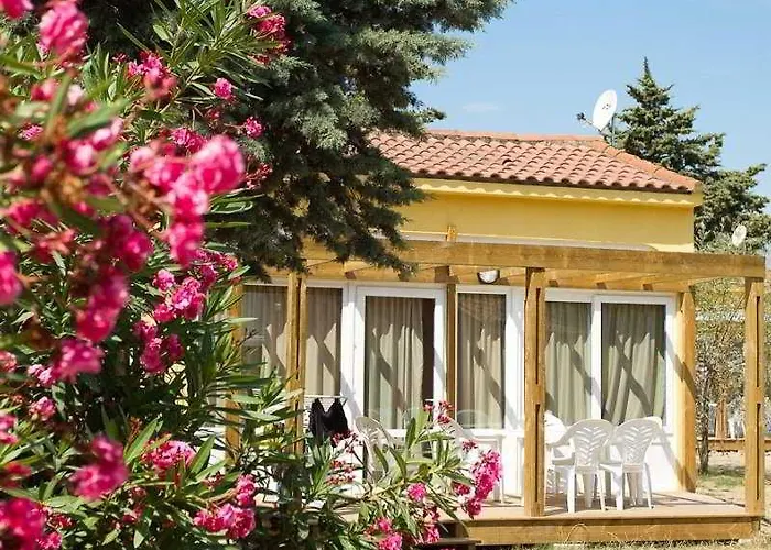 אתר קמפינג Village Les Abricotiers